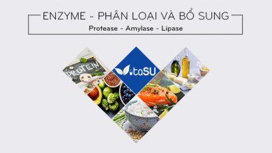 Cac-Loai-Enzyme-Tieu-Hoa-Va-Cach-Bo-Sung-Enzyme