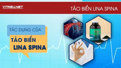 Tac Dung Cua Tao Bien Lina Spina