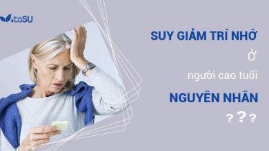 Suy Giảm Trí Nhớ Ở Người Cao Tuổi: Nguyên Nhân Và Cách Phòng Ngừa