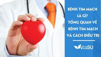 Bệnh tim mạch là gì? Tổng quan về bệnh tim mạch và cách điều trị