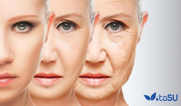 Nguyên nhân gây lão hóa da và cách phòng ngừa hiệu quả nhất