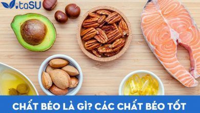 Chất béo là gì? Các loại chất béo tốt đảm bảo cho sức khỏe